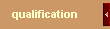 qualification